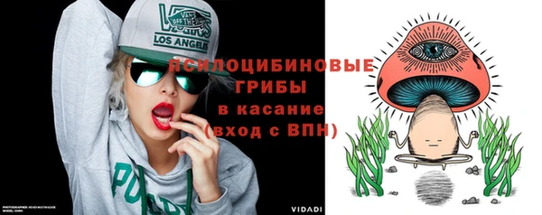 apvp Богданович