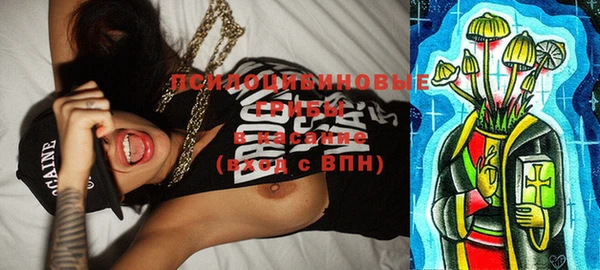 apvp Богданович
