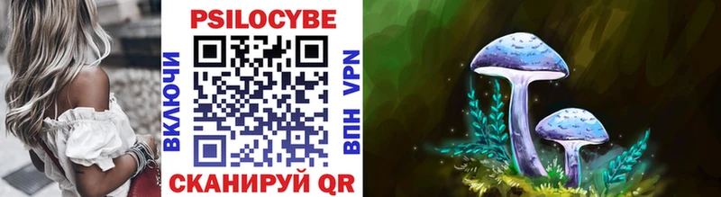 Псилоцибиновые грибы Psilocybe  Новокузнецк 