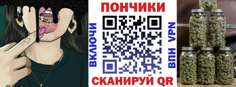 Бошки марихуана индика  Новокузнецк 
